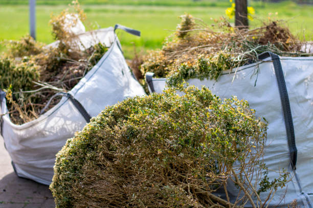 Shed Removal in Jamestown, CA